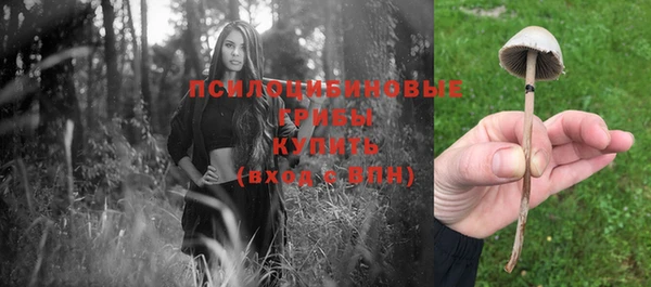 МДМА Арсеньев